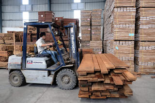 Ngành gỗ mở rộng và đa dạng hóa thị trường