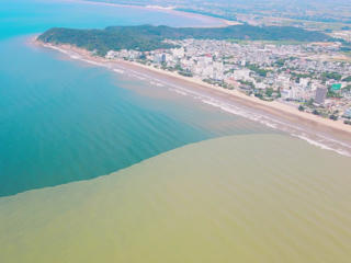 CLIP: Biển Sầm Sơn chia thành hai màu khiến người dân thích thú