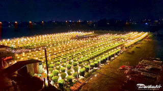 Quảng Trị: Người dân ‘đội’ mưa, thắp đèn xuyên đêm chăm hoa Tết