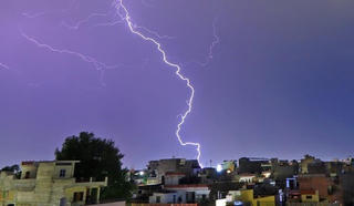 Đi thăm đàn lợn, người đàn ông ở Hà Tĩnh thấy 12 con lợn bị sét đánh chết