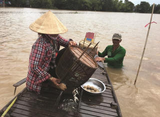 Dự báo lũ đẹp vùng Đồng bằng sông Cửu Long