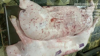 'Thịt bệnh' không đi một mình