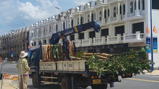 Gỡ rào cản thủ tục trong xây dựng