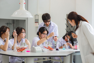 Kiểm định đào tạo Đại học: AI sẽ hỗ trợ con người