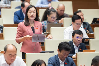 ĐBQH đề nghị hoàn thiện quy định để khởi tố hành vi trốn đóng bảo hiểm xã hội