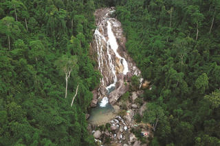 Khai mỏ vàng xanh