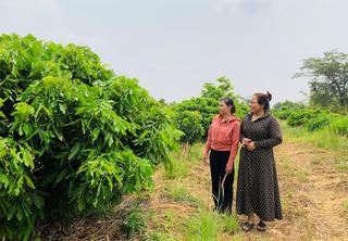Hải Dương: Hỗ trợ đất cho đồng bào dân tộc thiểu số nghèo và cận nghèo ở miền núi