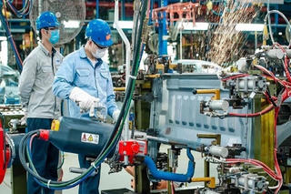 Hình bóng một con rồng châu Á