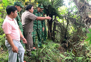 Quảng Nam: Công bố tình huống khẩn cấp về vết nứt, sụt lún xảy ra tại Tây Giang