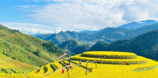 Mù Cang Chải - nỗi nhớ xa xôi