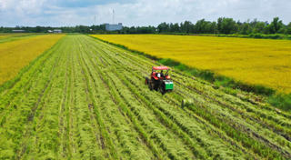 Nông sản Việt và cơ hội bứt phá mở rộng thị trường Nhật Bản