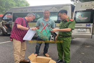 Ninh Bình: Phát hiện tài xế mang Culi quý hiếm đi bán