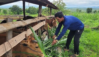 Những ai được vay vốn theo Nghị định số 28/2022/NĐ-CP