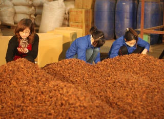 Trắng tay vì “sập bẫy” lừa đảo giao dịch quốc tế