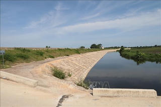 Đảm bảo an toàn đê điều ứng phó bão số 6