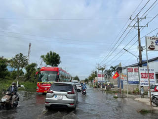 Bạc Liêu: Mùng 4 Tết, triều cường bất ngờ đe doạ vùng trồng lúa