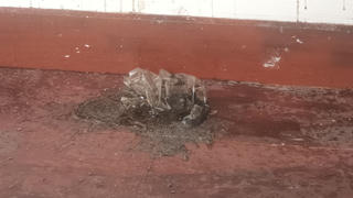  Một nhà dân bị ném chất bẩn giữa đêm khuya