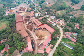 Sống khổ bên nhà máy chế biến gỗ