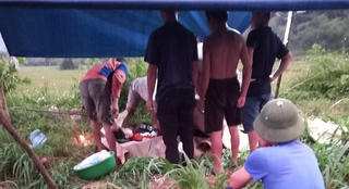 Phú Thọ: Bé trai 11 tuổi đi câu bị điện giật tử vong