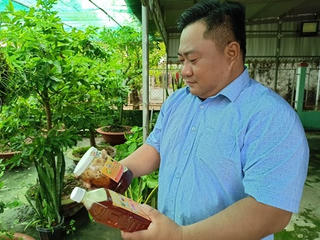 Bảo vệ và phát huy giá trị mật ong U Minh Hạ