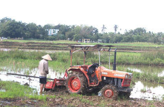 [ẢNH]: Nông dân Quảng Nam cần mẫn làm việc giữa trời nắng nóng