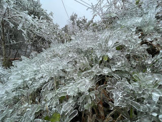 Băng tuyết phủ trắng đỉnh Phja Oắc, Cao Bằng