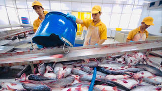 Hiệp định Đối tác toàn diện và tiến bộ xuyên Thái Bình Dương: Những ‘trái ngọt’ xuất khẩu