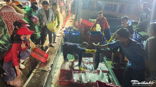 Kẻ bán người mua tại cảng cá Nhật Lệ ngày giáp Tết