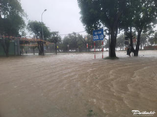 Trước giờ bão số 5 đổ bộ, sóng lớn, nước biển dâng ngập đường ven biển Nghệ An