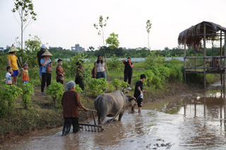 Sôi động du lịch xanh vùng ven đô