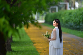 Hoa giáng hương nở rộ nhuộm vàng một góc trời Thủ đô