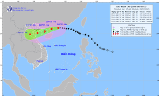 Bão số 3 đang di chuyển với tốc độ 20–25km/h, Hà Nội cảnh báo mưa lớn