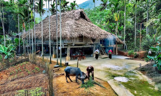 Du lịch xanh đón đầu thị hiếu