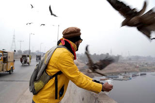 Rắc rối câu chuyện nuôi chim săn mồi ở Pakistan