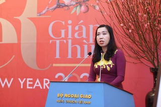 Thứ trưởng Bộ Ngoại giao chúc Tết đến cộng đồng người Việt Nam ở nước ngoài