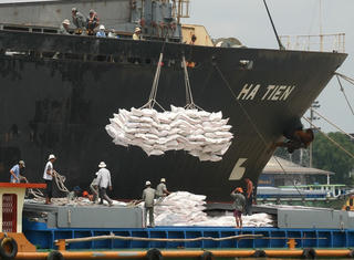 Nhiều triển vọng xuất khẩu gạo