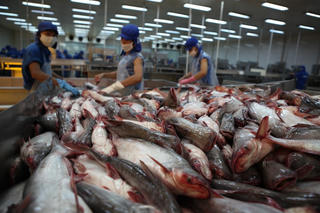 'Nốt trầm' của ngành thủy sản