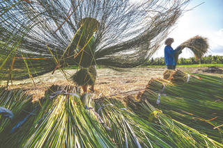 ‘Làng nghề’ - trầm tích đương đại từ Helena Vân