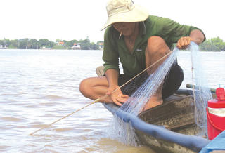 Đỏ mắt chờ mùa nước nổi