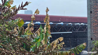 Hải Phòng: Yêu cầu xác minh việc người dân nhập viện do hít phải hóa chất từ nhà máy bột giặt