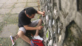 Thu nhập 'khủng' từ việc nhổ cây dại ven đường 