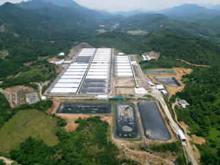 Trang trại lợn gây ô nhiễm, người dân bất an