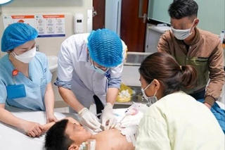 Bệnh dại tăng đột biến có bất thường?