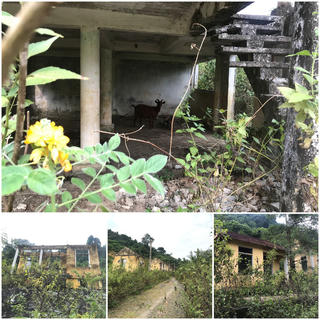 Tái định cư vắng bóng cư dân