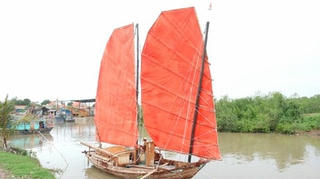 Mất hút những cánh chim