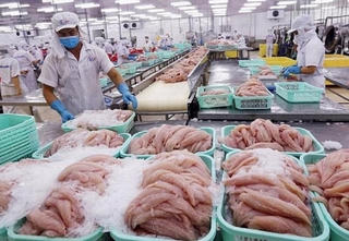 Thủy sản xuất khẩu: Phục hồi và tăng tốc