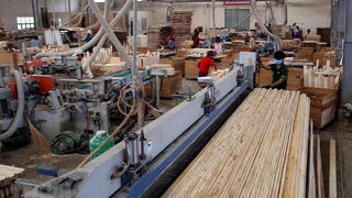 Xuất khẩu gỗ liệu có cán đích?