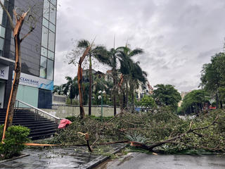 Sáng 19/9, vùng đất liền ven biển Hà Tĩnh - Quảng Ngãi có gió giật cấp 10