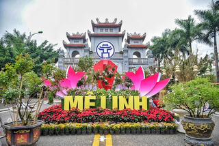 Cận cảnh: Người dân làng hoa Mê Linh tất bật chuẩn bị Festival hoa lớn nhất Thủ đô