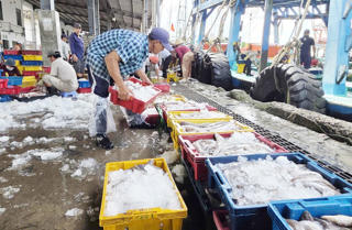 Gian nan nghề biển